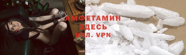 амф Алексин