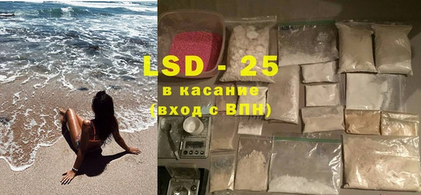 PSILOCYBIN Инсар