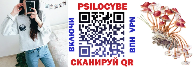 Галлюциногенные грибы Psilocybe  Белебей 